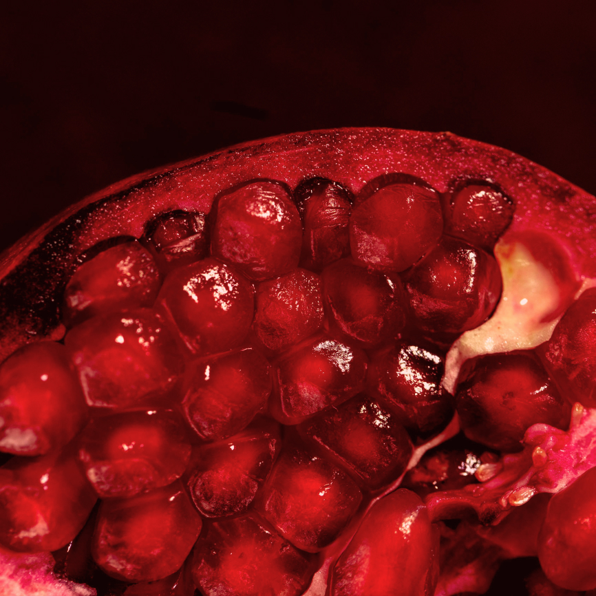 Manhattan’da bir “Nar” Ağacı